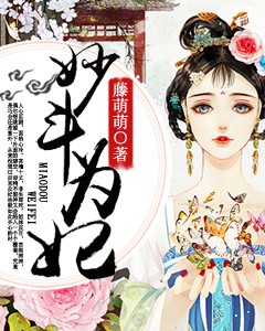 假面舞会 小说